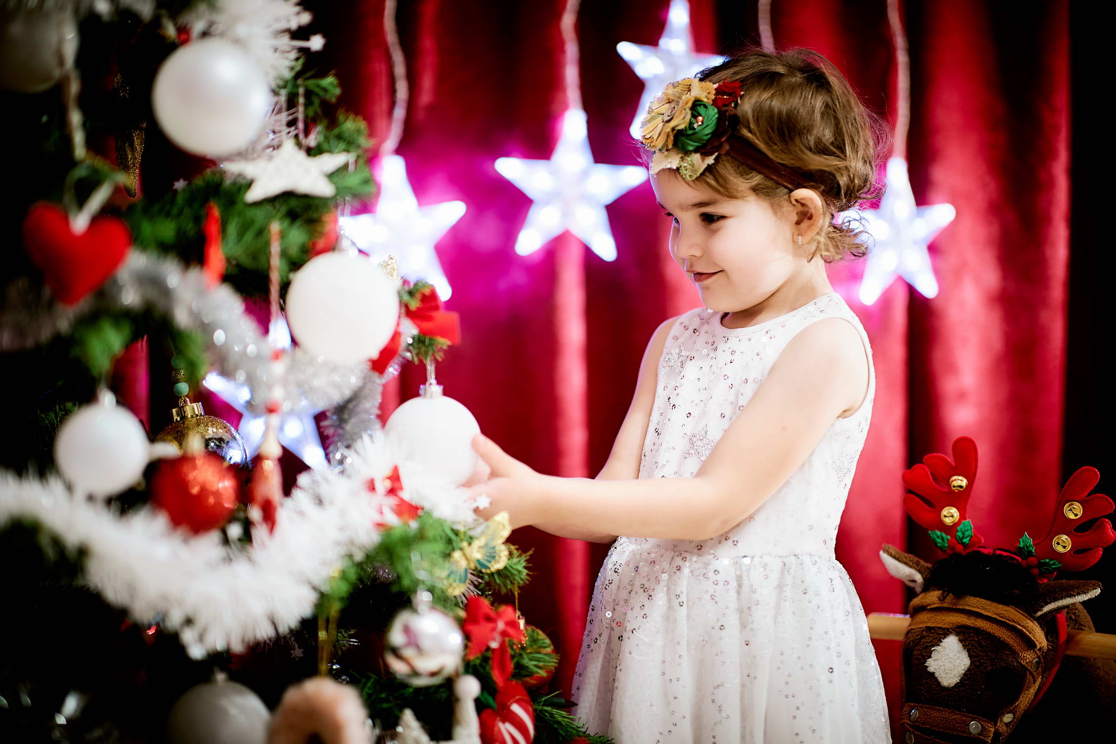 Sedinta Foto De Craciun In Preajma Bradului (3)